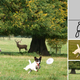 Illustration for article titled This iIs/i a Photoshop and It Blew My Mind